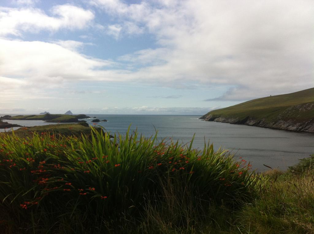 Sea Breeze Bed And Breakfast Cahersiveen Esterno foto